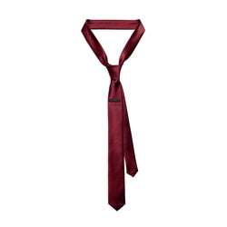 [3004] Signature Satin Slim Tie (WN)