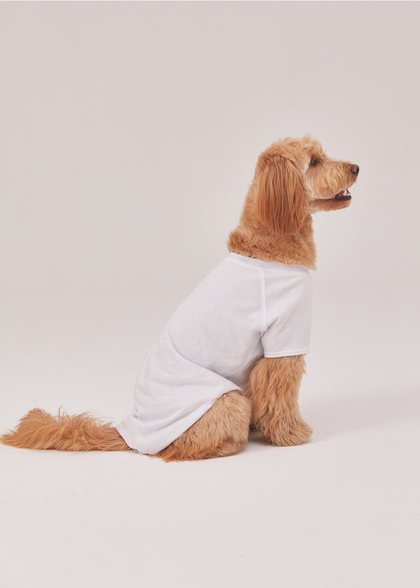 Classic puppy T shirts (White)