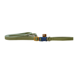 Daisy rainbow leash (Olive)