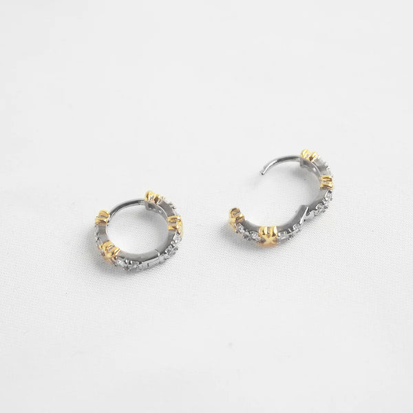 Helene Crystals Hoop Earrings