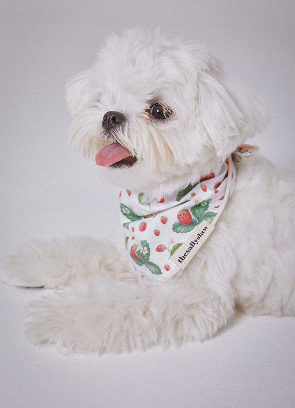 Green leaf strawberry bandana