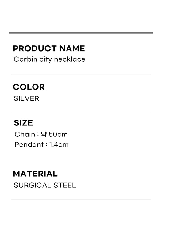 Coin Necklace Silver Stainless Steel_corbin city