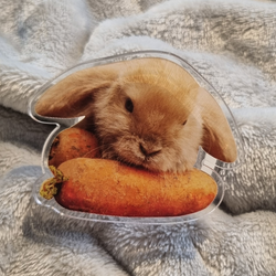 Carrot Baby Rabbit magsafe smart tok