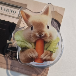 Carrot Rabbit smart tok(sticker type)