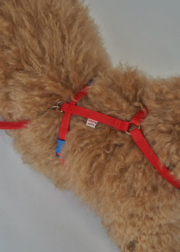 High teen H type harness (Red)