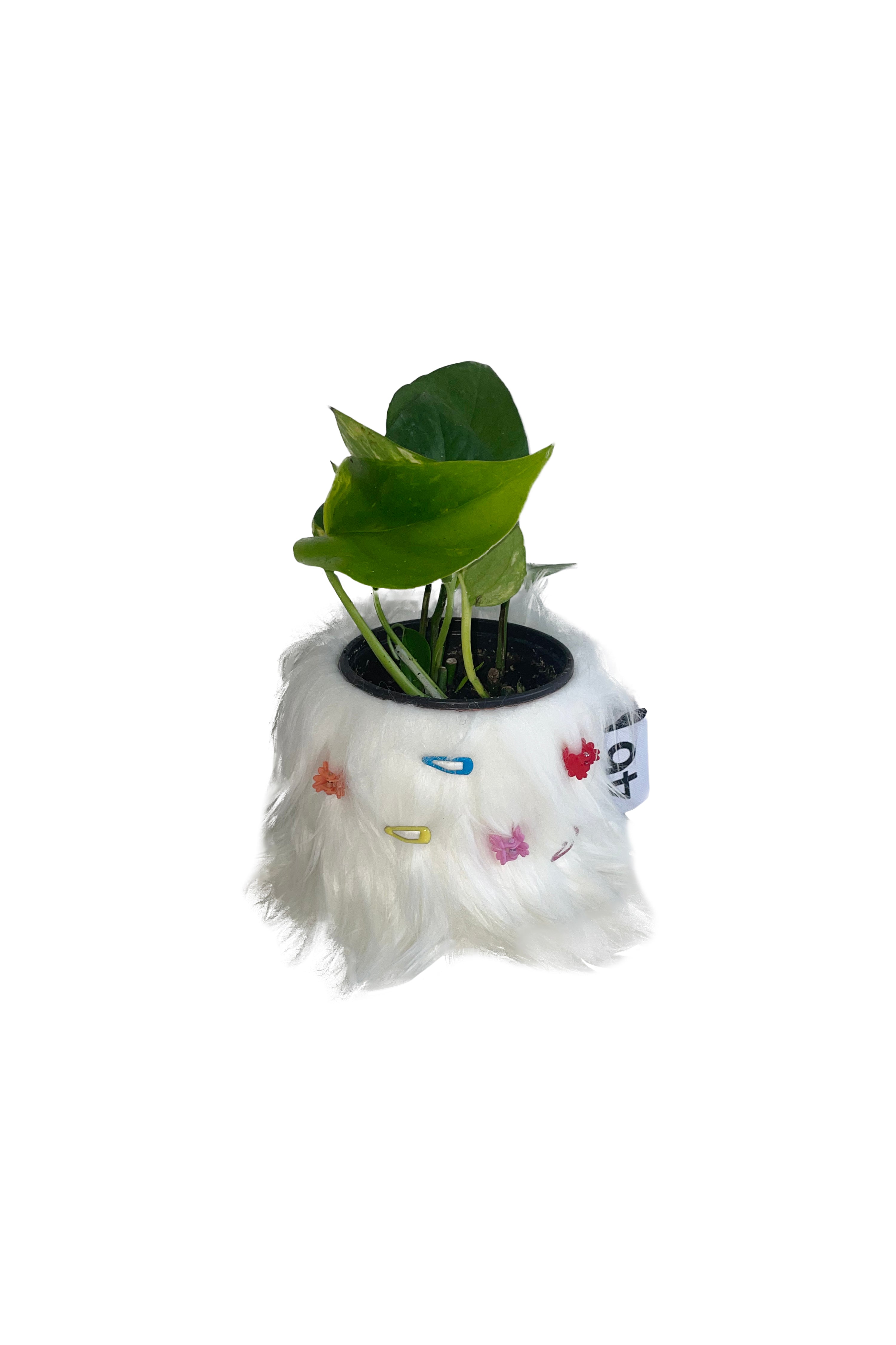 FURRY POT COVER (WHITE) + FURRY PIN SET