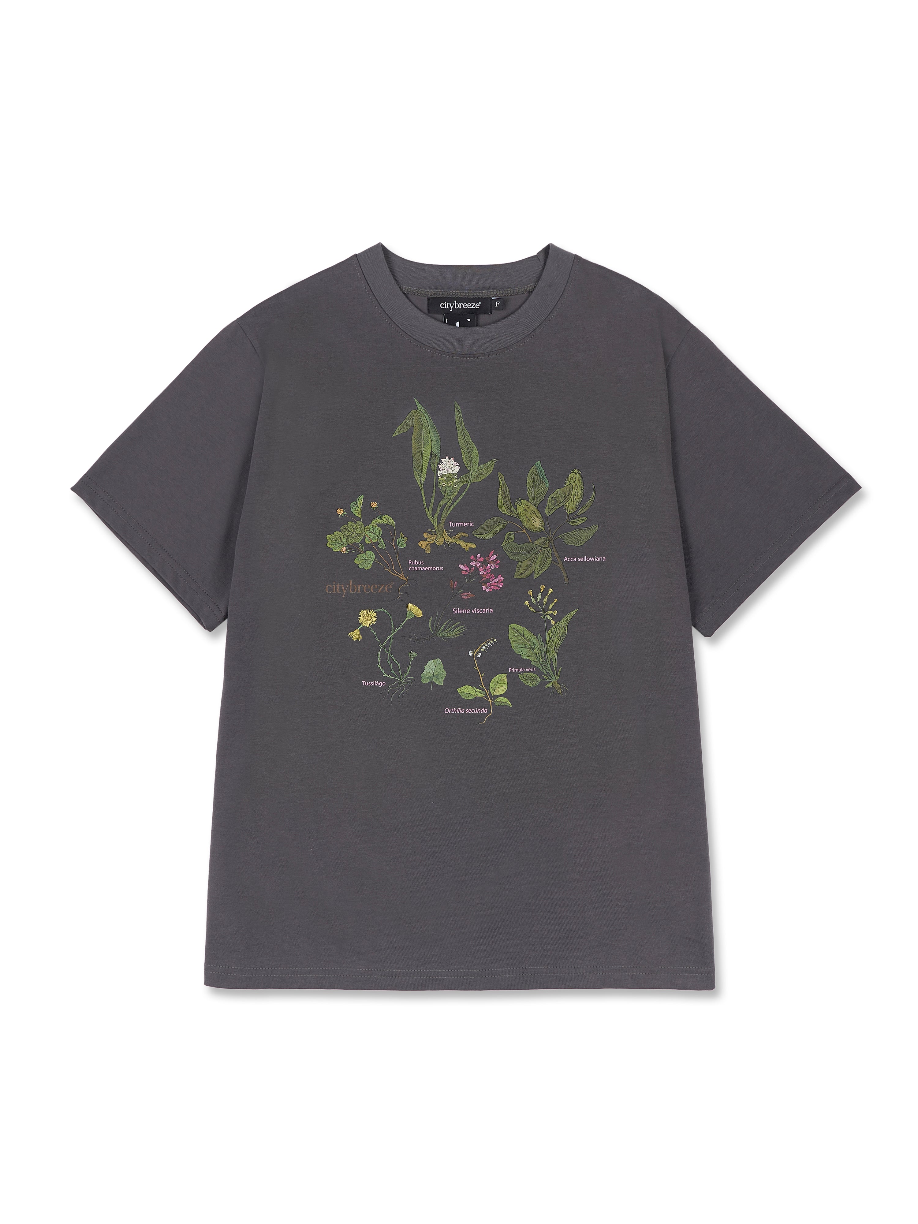 [BREEZE] Botanical Garden T-Shirts_CHARCOAL (CTD1)