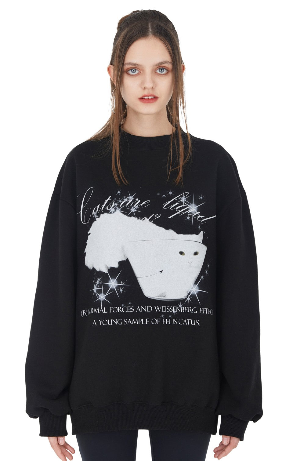 [ISS005-1] GLASS CAT SWEATSHIRTS BLACK