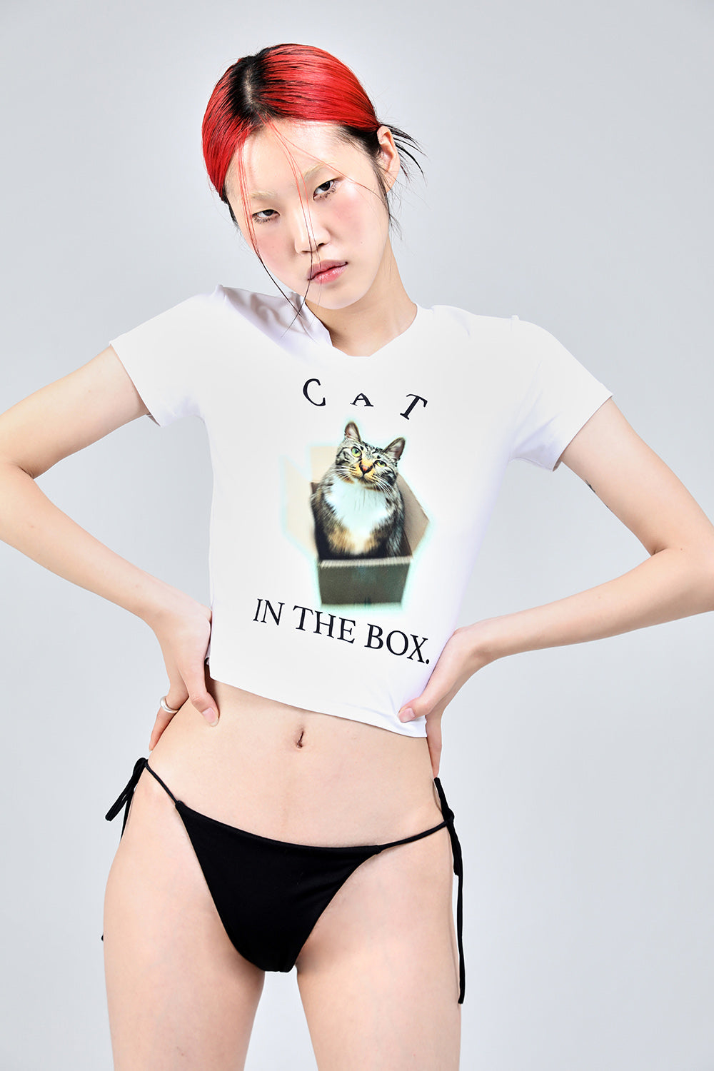 CAT IN THE BOX T-shirt