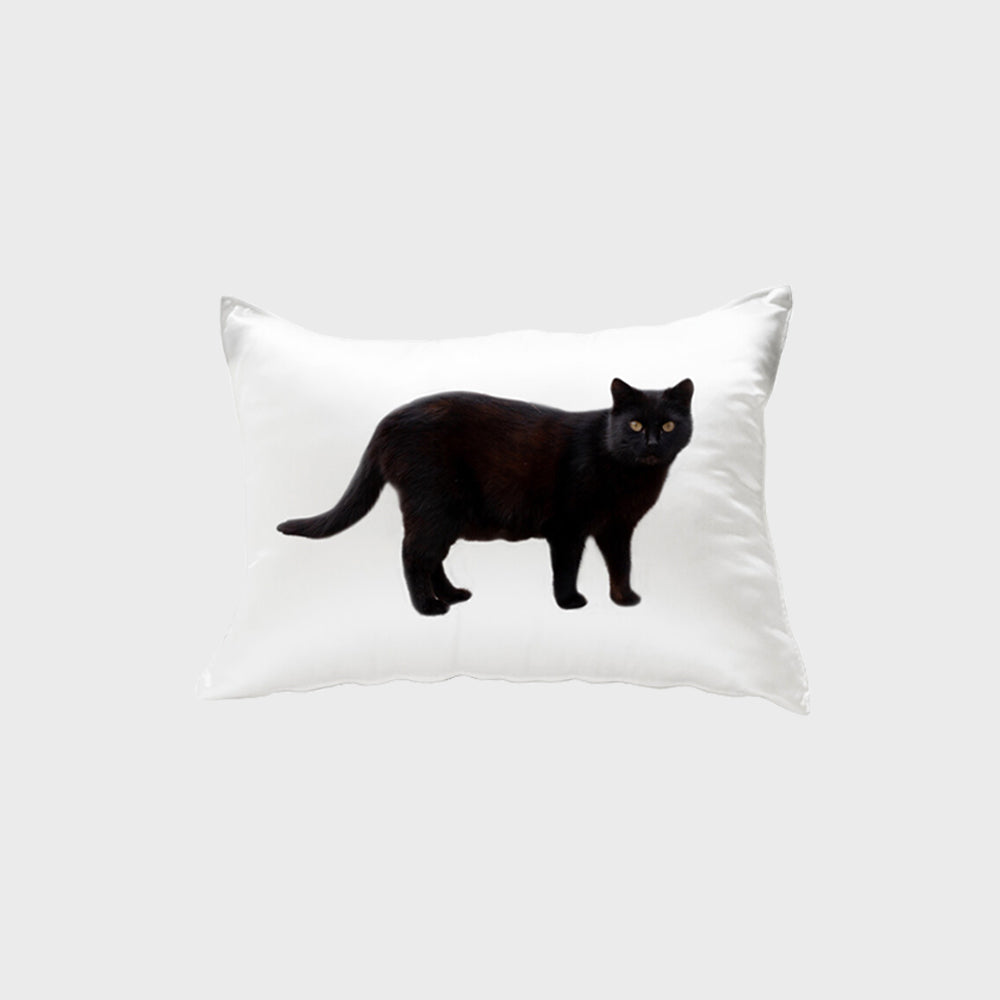 BLACK CAT PILLOW COVER