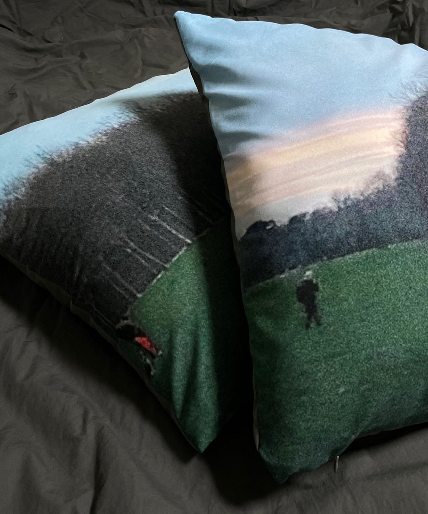 pillow cover - park