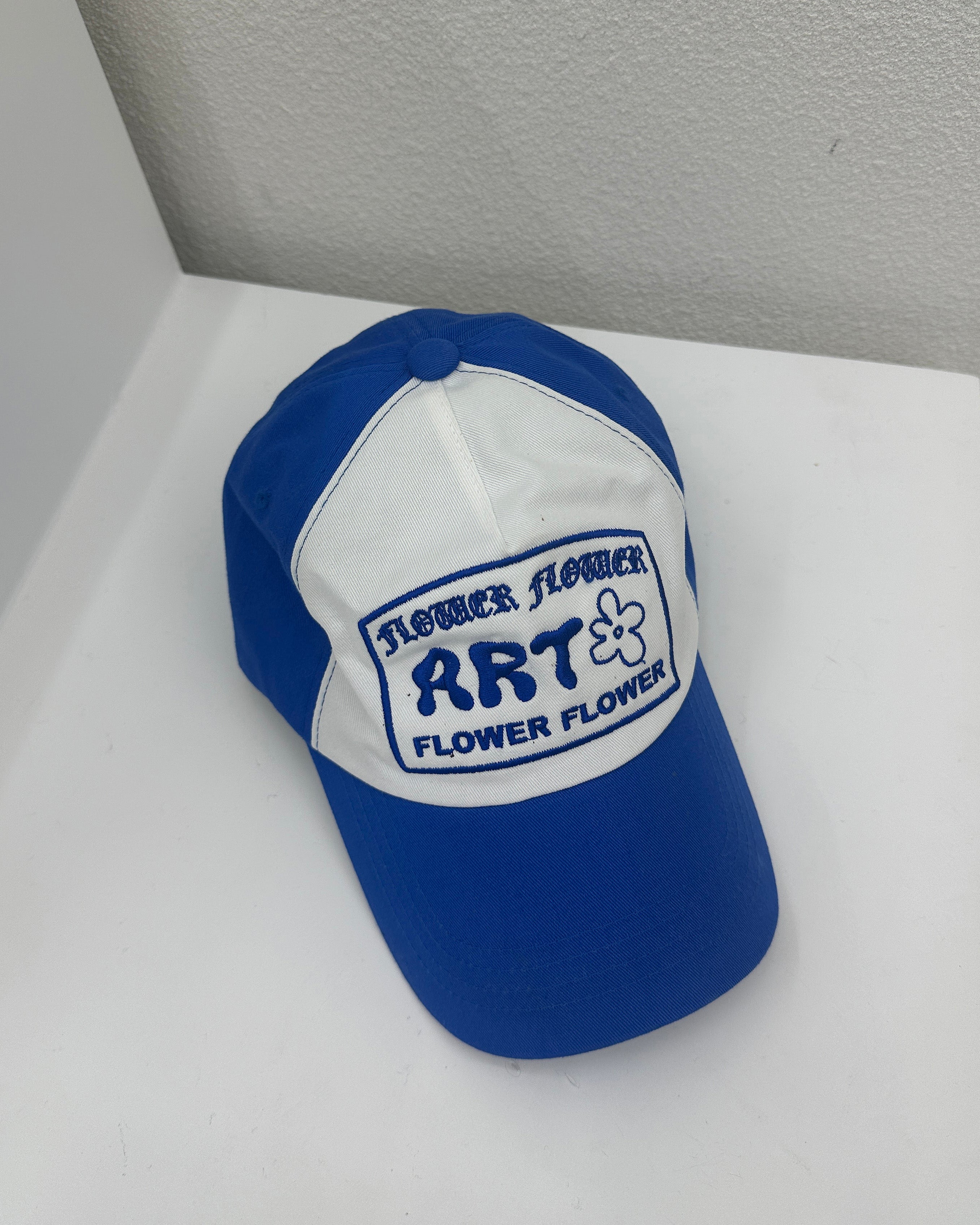 Artist Blue Colored Ball Cap