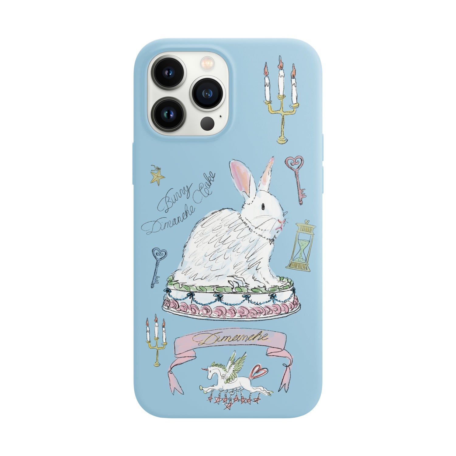 BLUE BUNNY CAKE CASE