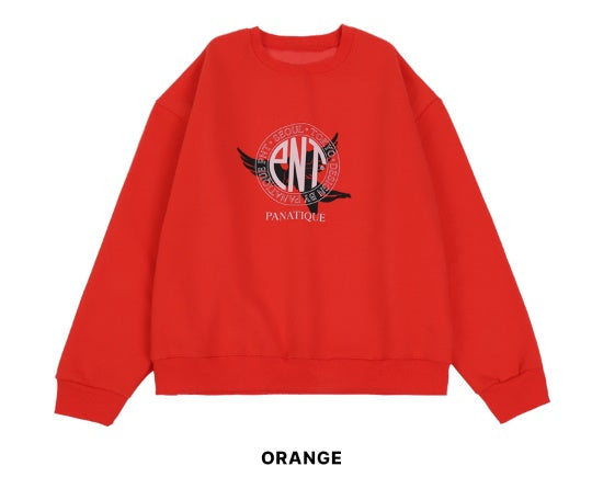 Overfit Panatique Logo Sweatshirt_2color