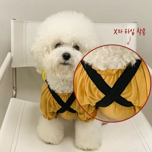 Smile Flower Dog Harness leash Backpack Set