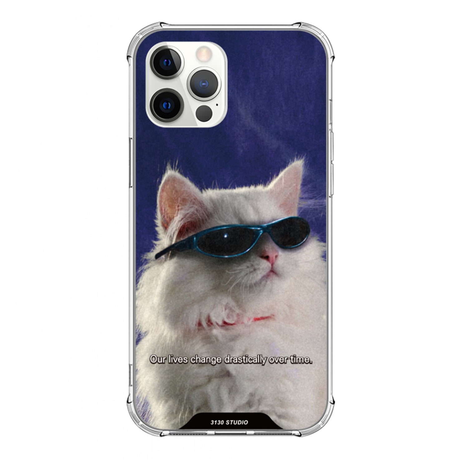 persian blue cat case