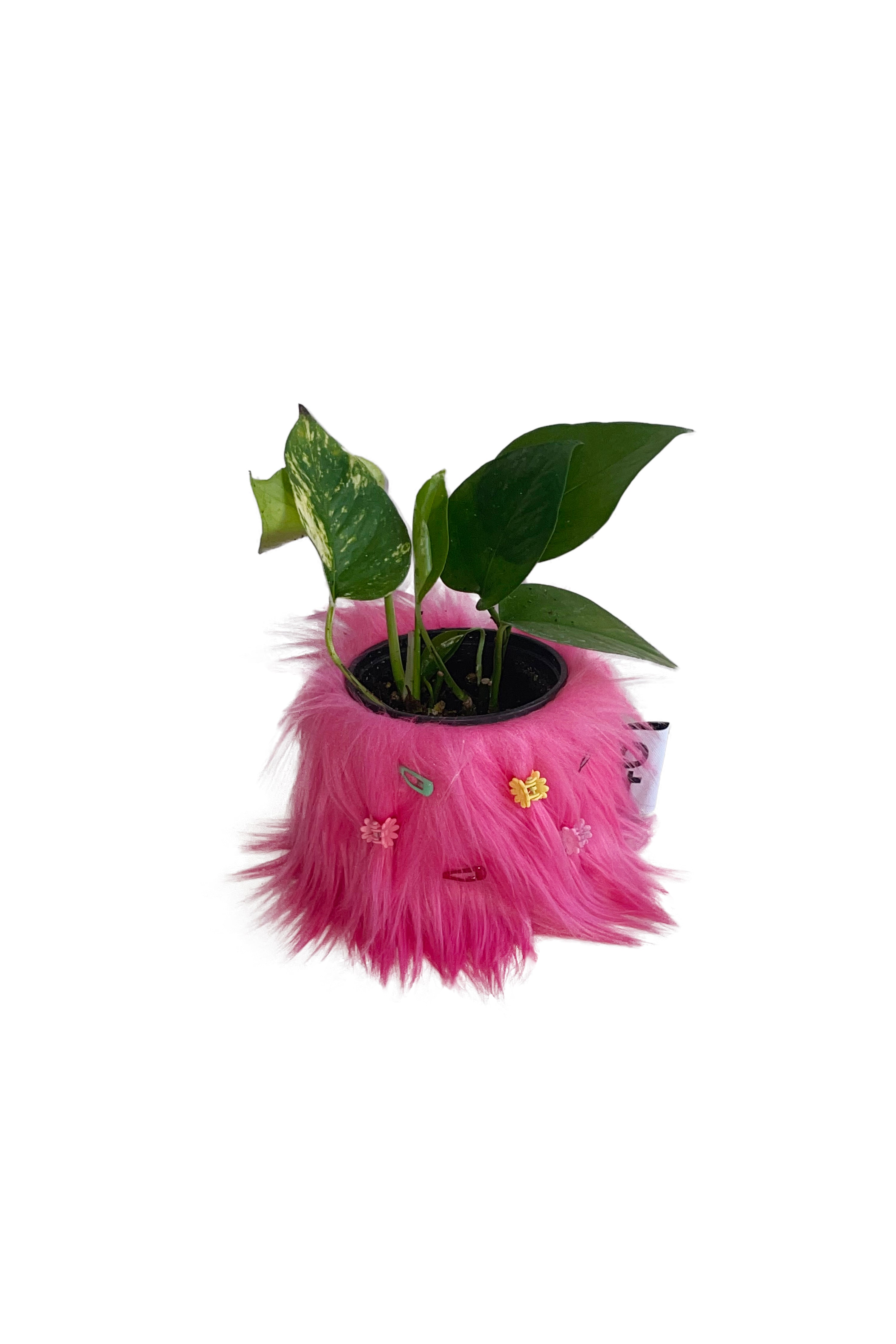 FURRY POT COVER (PINK) + FURRY PIN SET