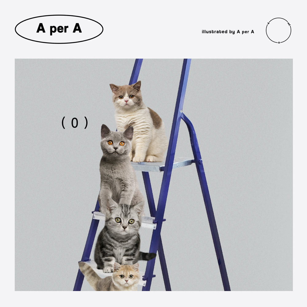 blue Ladder Cat Club