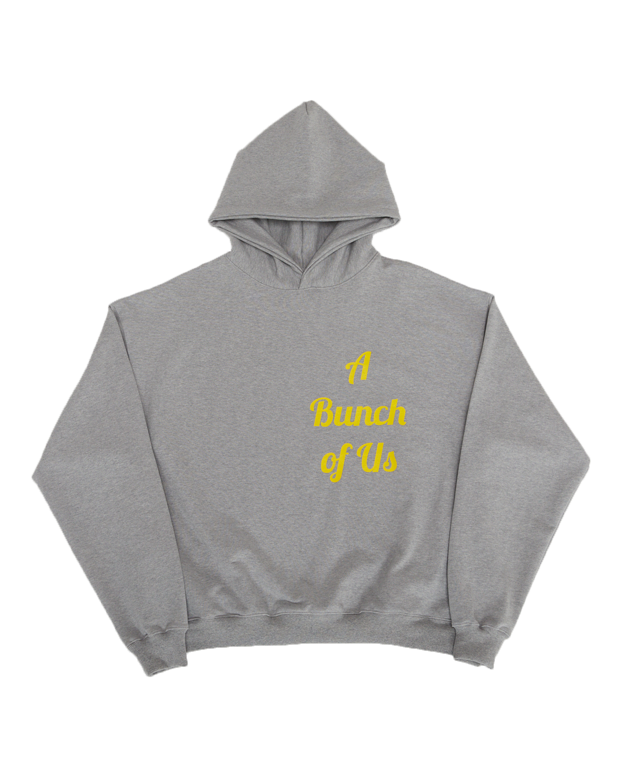 LP Big Logo Hoodie (Grey)