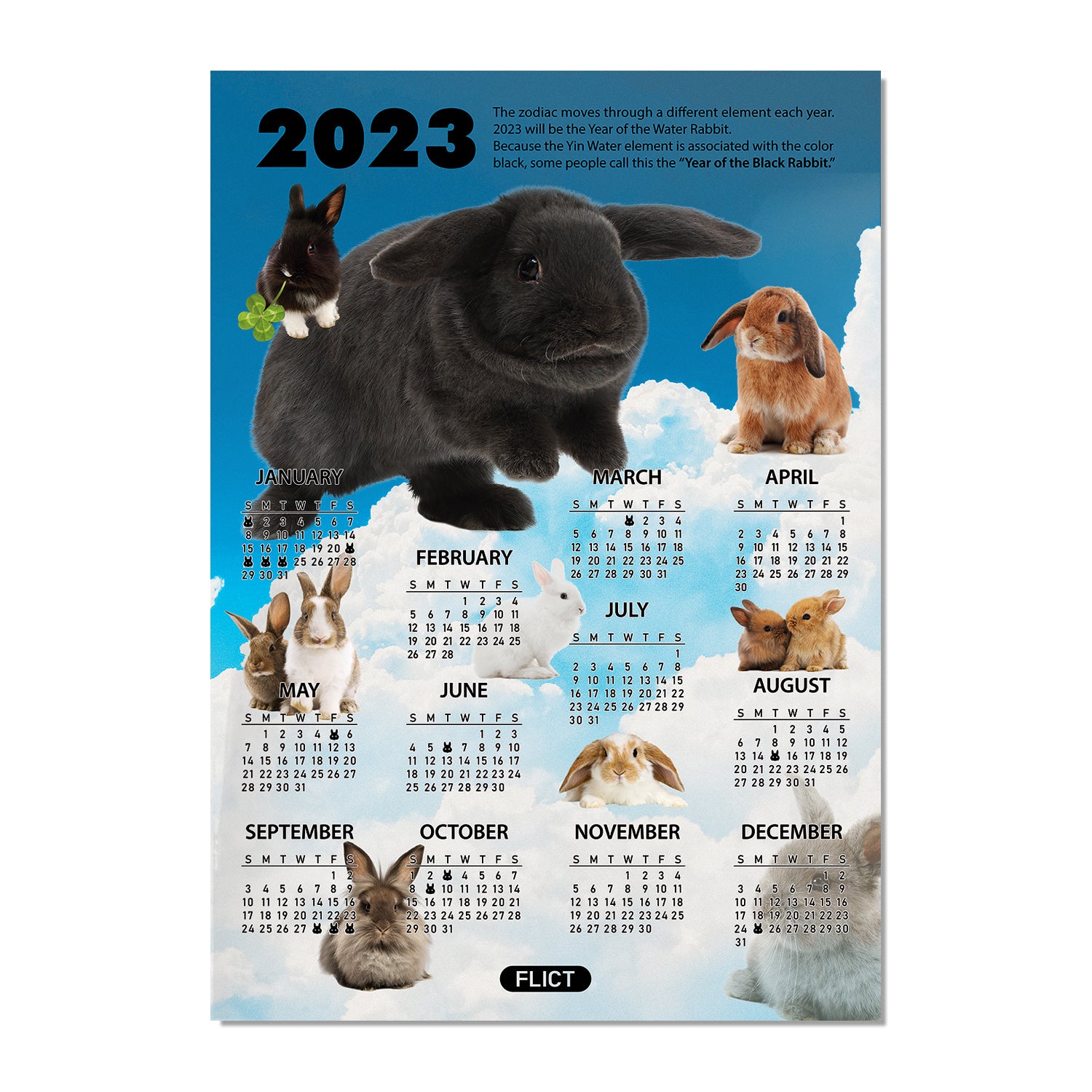 BLACK RABBIT 2023 CALENDAR GLOSSY POSTER (A2 SIZE)