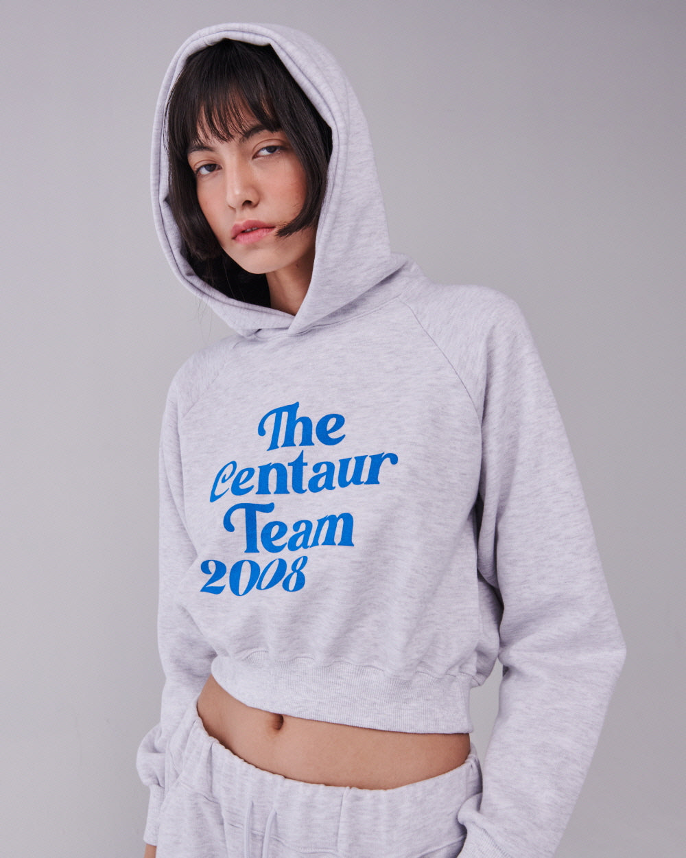 TEAM 2008 CROPPED HOODY_GRAY