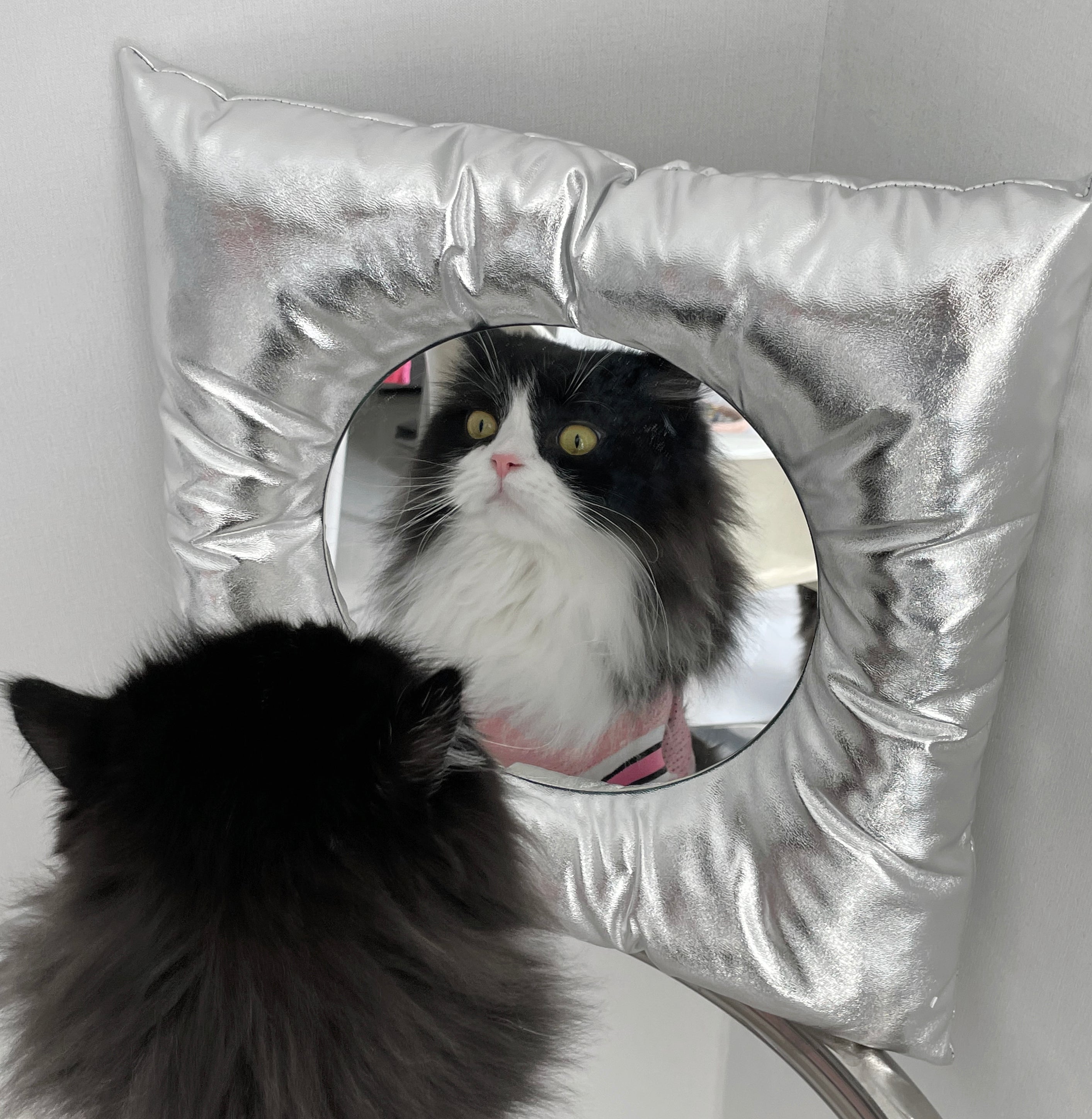 CUSHION MIRROR(SILVER)