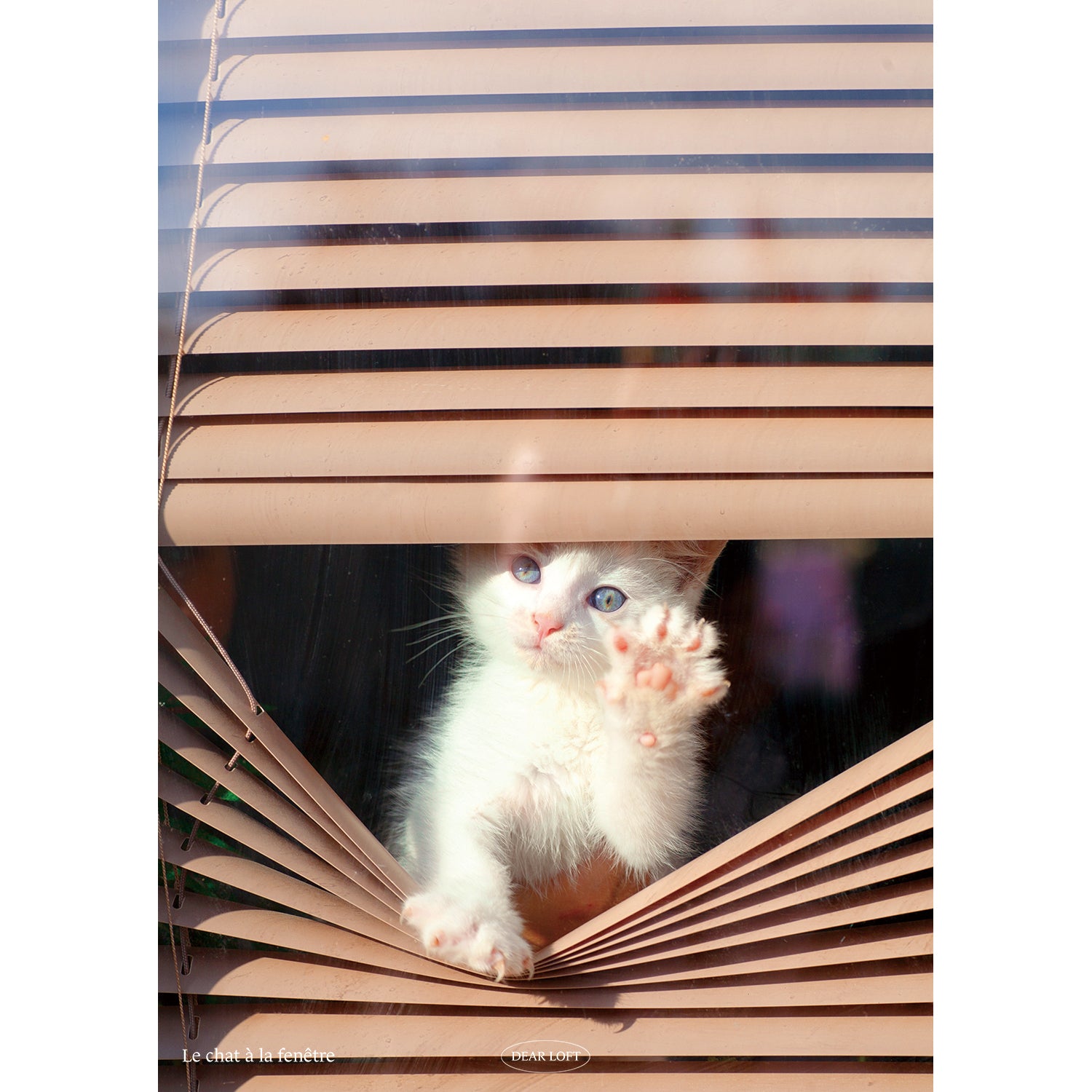 Le chat à la fenêtre - Paper Poster (A3)