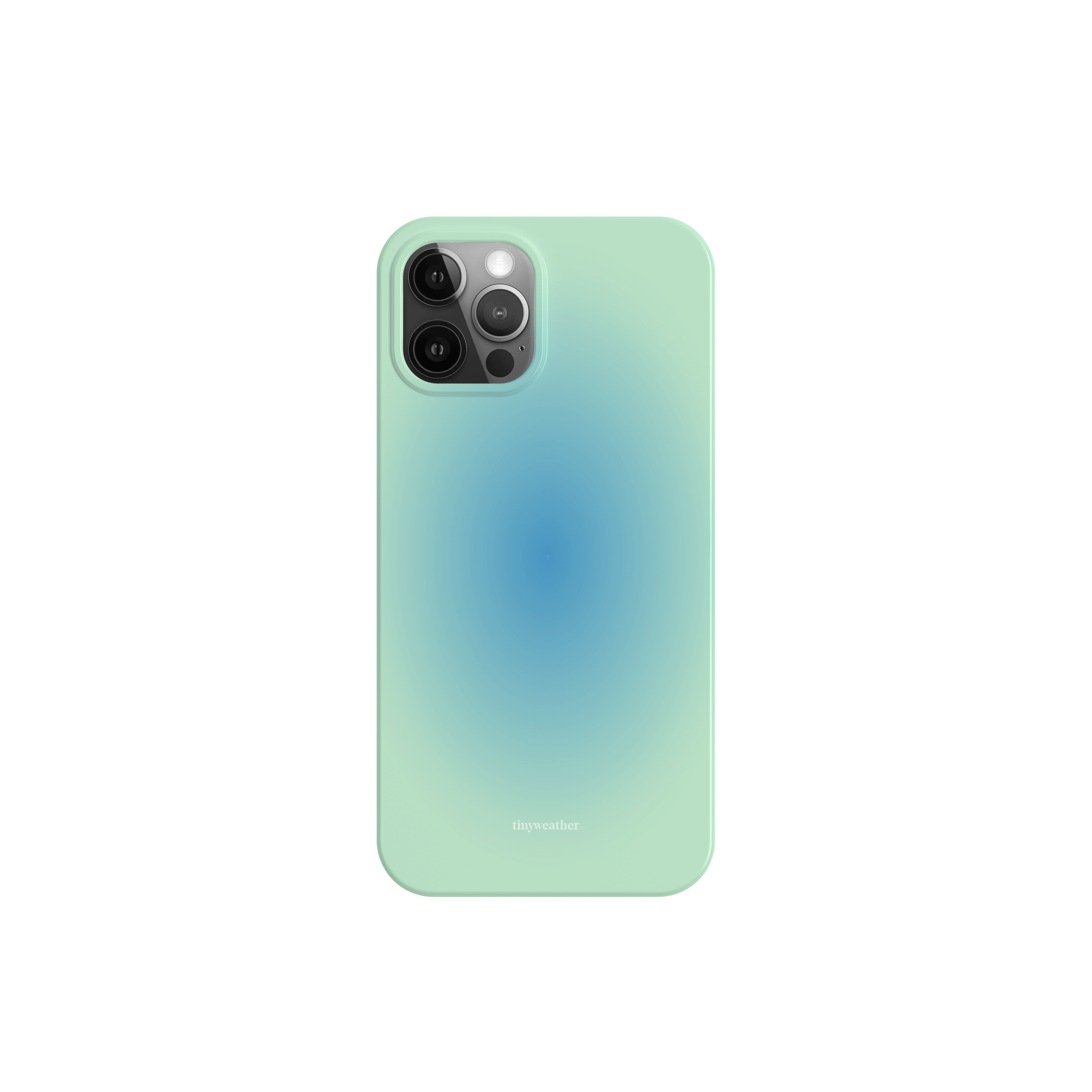 blush hard case-blue(green)