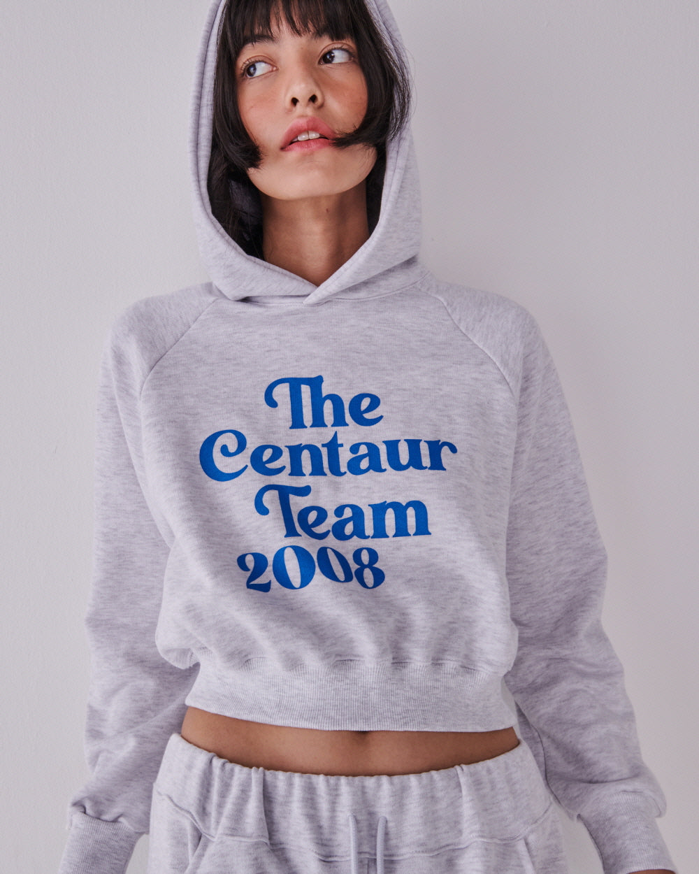 TEAM 2008 CROPPED HOODY_GRAY