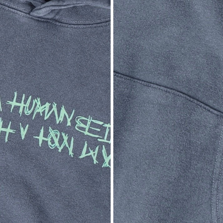 I AM NOT HUMAN BEGIN Faded logo hoodie （送料込）- ONEWILL