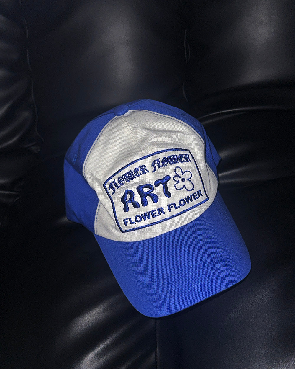 Artist Blue Colored Ball Cap