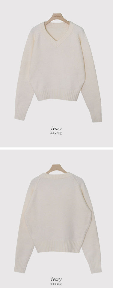 Pastel Simple V-neck Knit (6color)