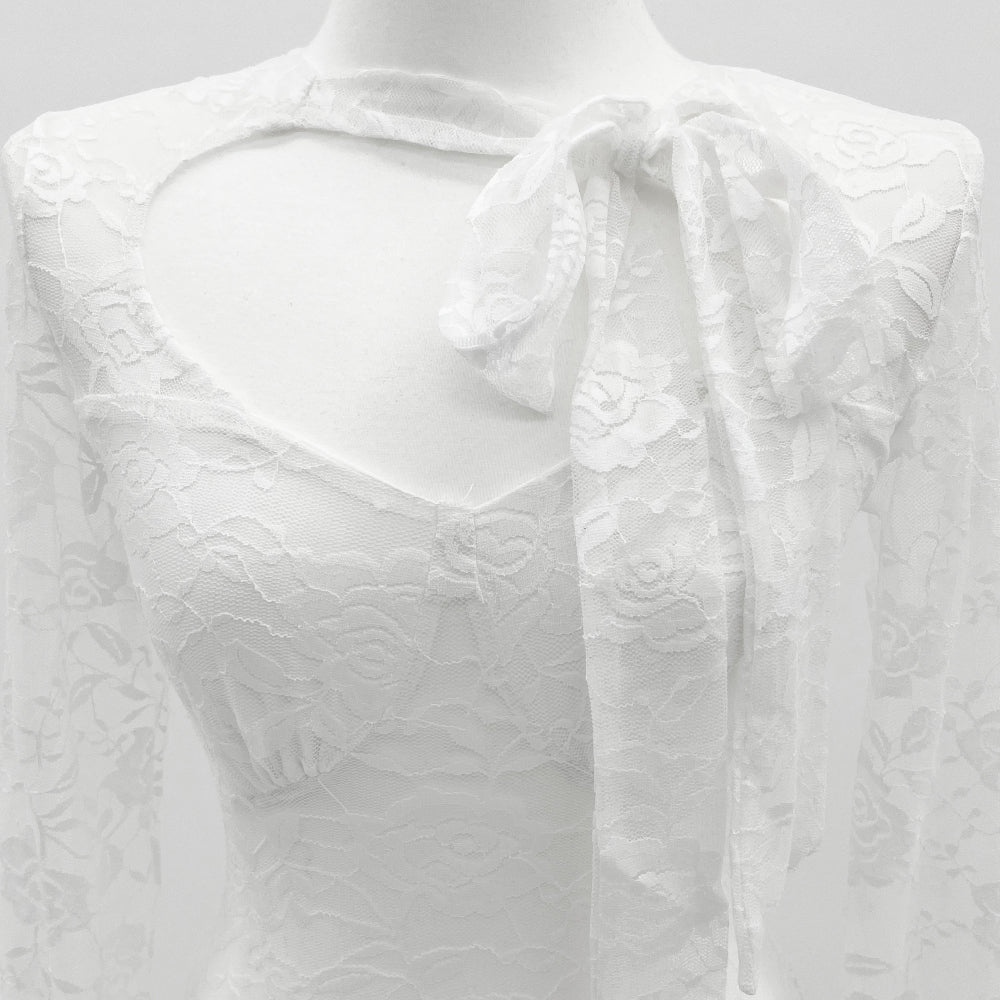 See-through White Ribbon Lace Long Sleeve Top (White)