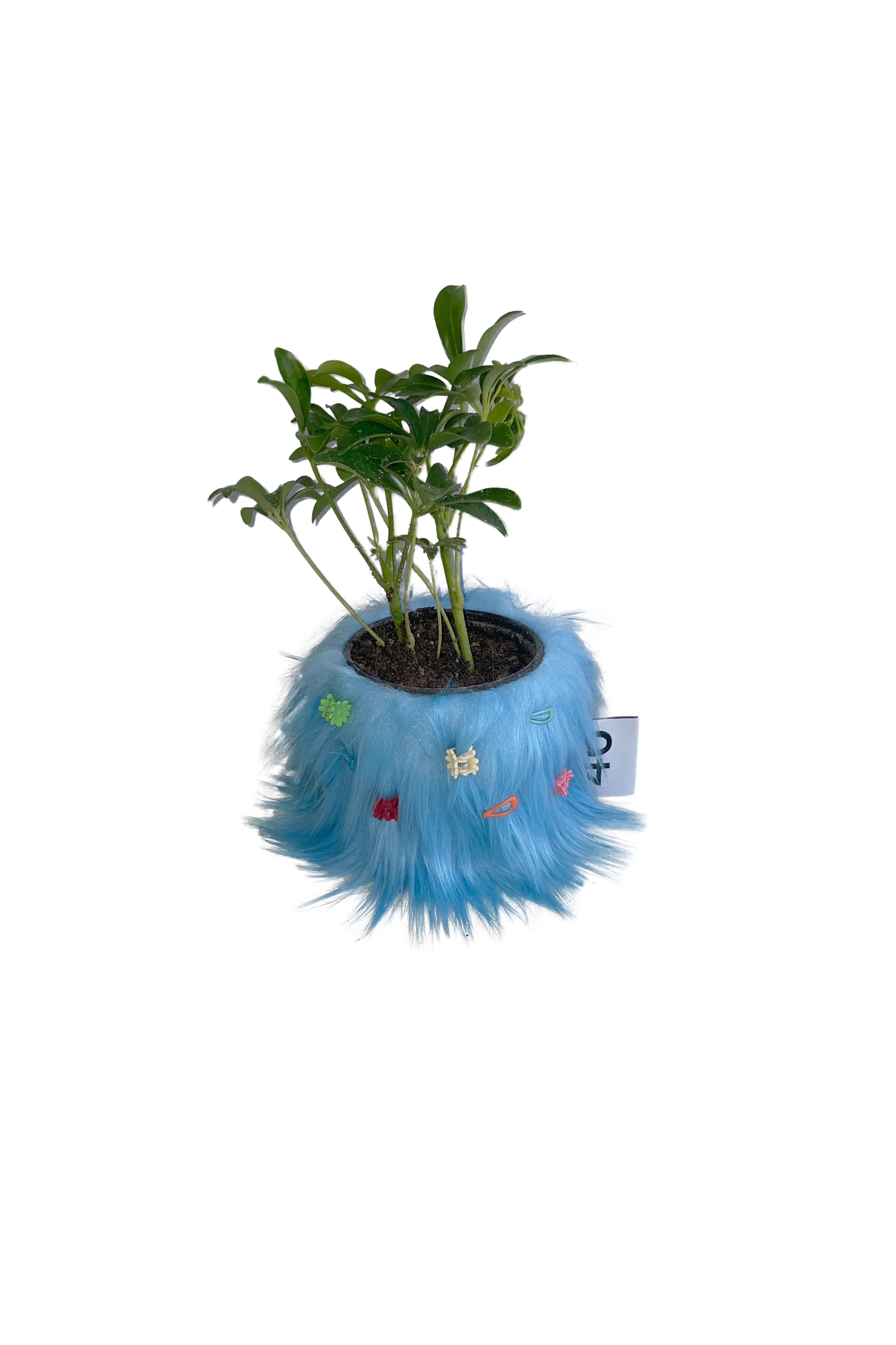 FURRY POT COVER (SKY BLUE) + FURRY PIN SET