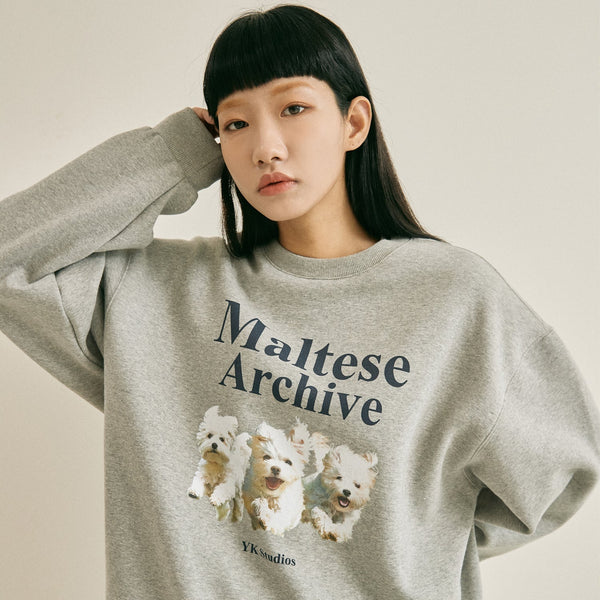 アチーブスウェットシャツ / Maltese archive sweatshirts