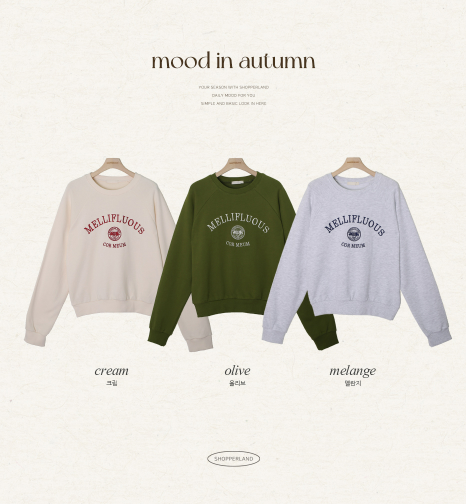 Embroidery Lettering Crop Sweat Shirt (3color)