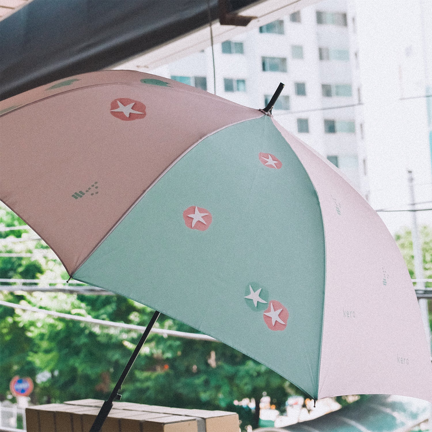 Kero and the morning glory umbrella