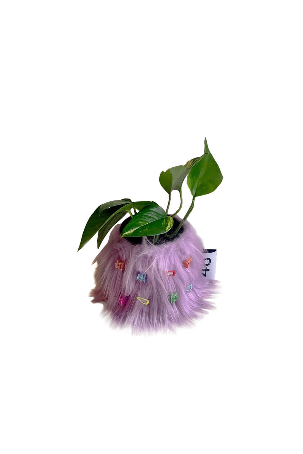 FURRY POT COVER (PURPLE) + FURRY PIN SET