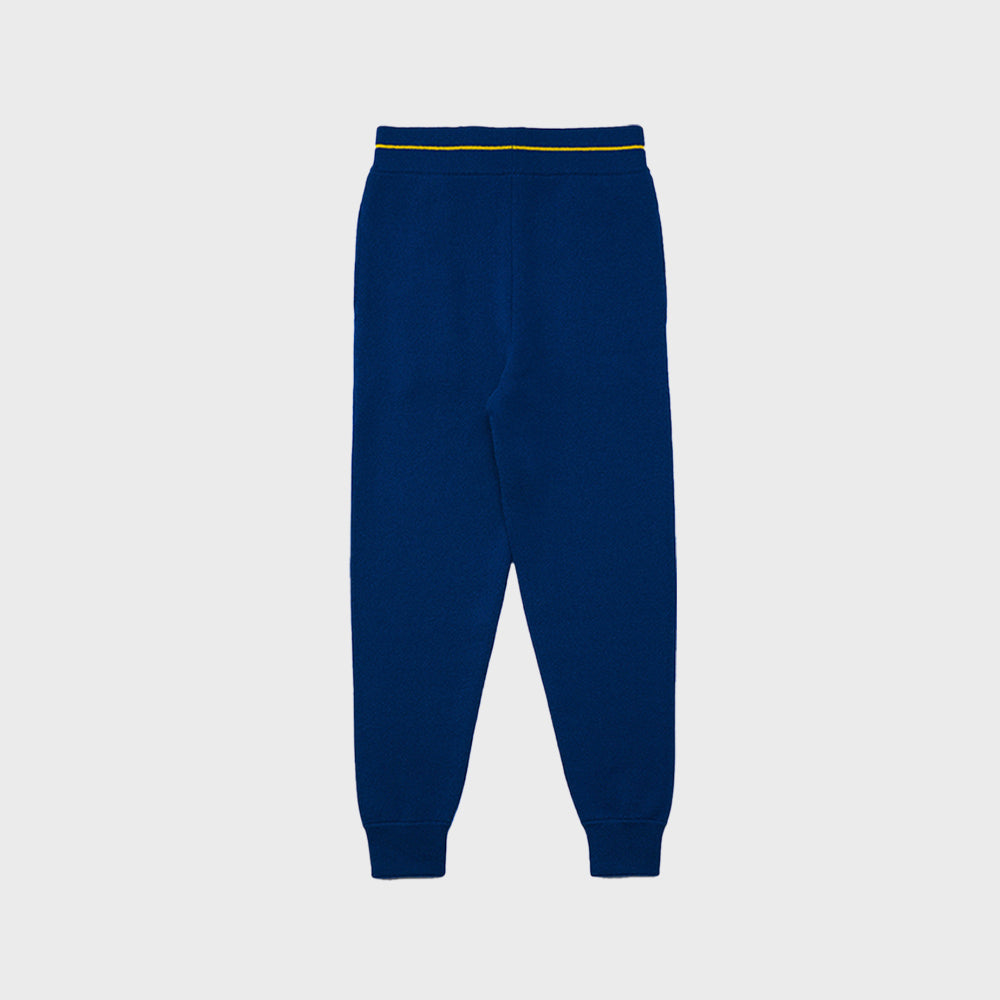 SLIMFIT JOGGER_NAVY