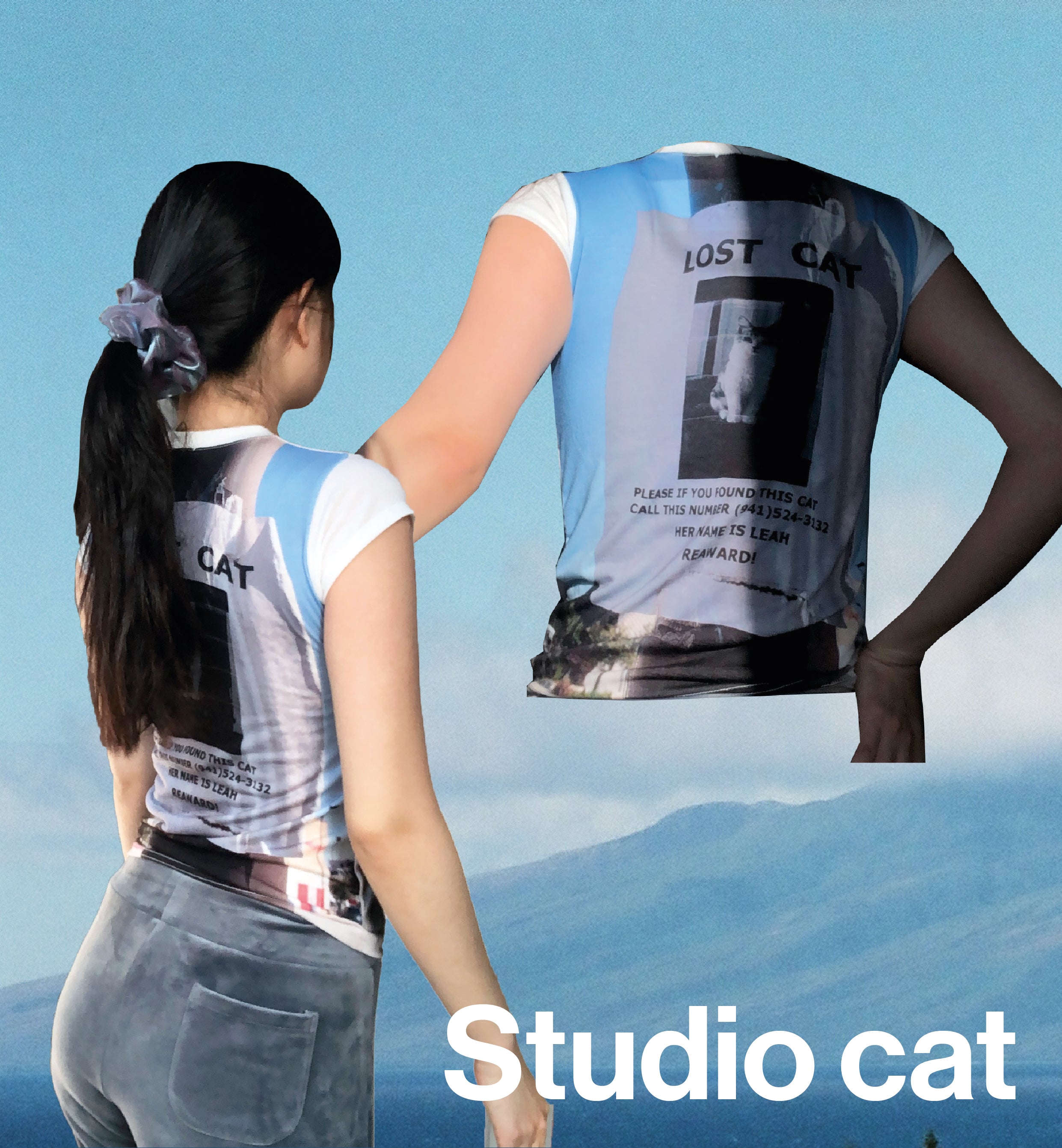 Studio cat