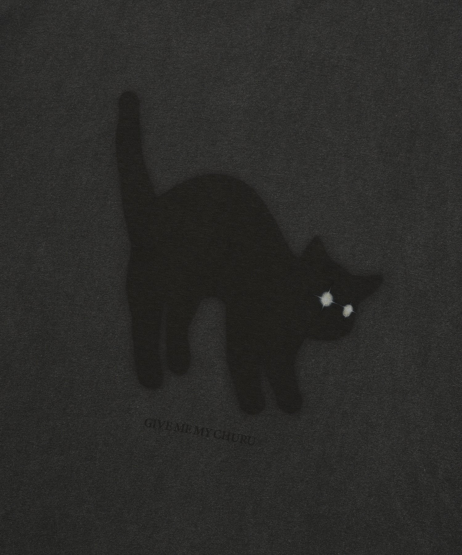 Chuck Greedy Cat T-Shirt, Charcoal