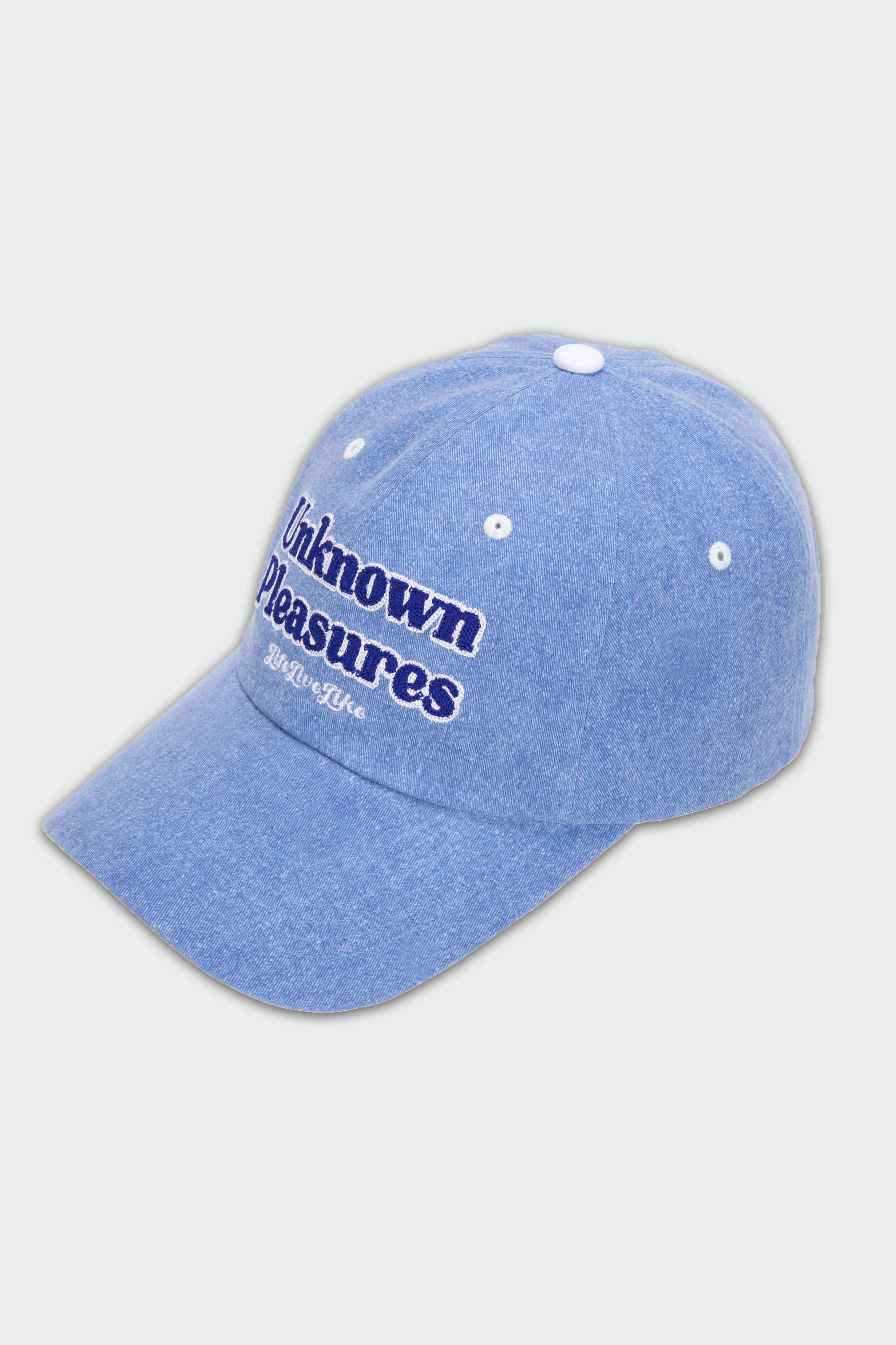 Vintage washed cap (blue)