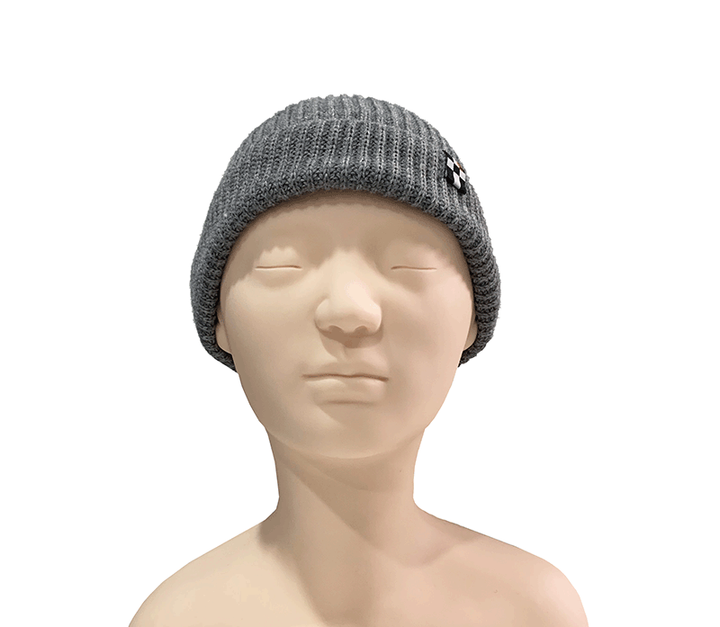 STANDARD WATCH CAP GRAY