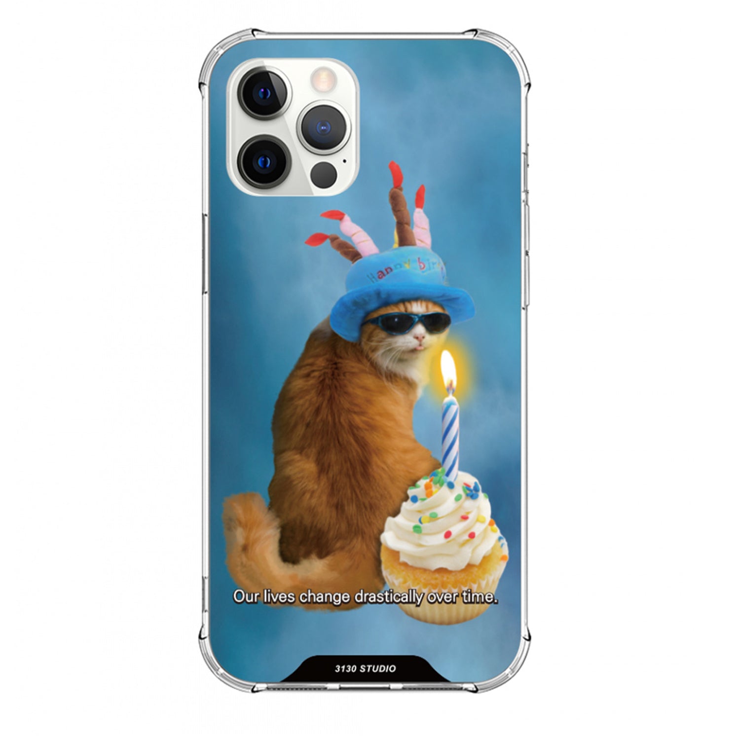 my birthday cat ver.2 case