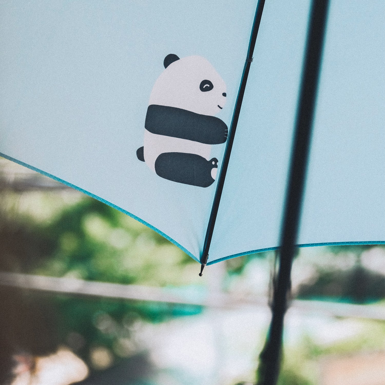 Panda umbrella