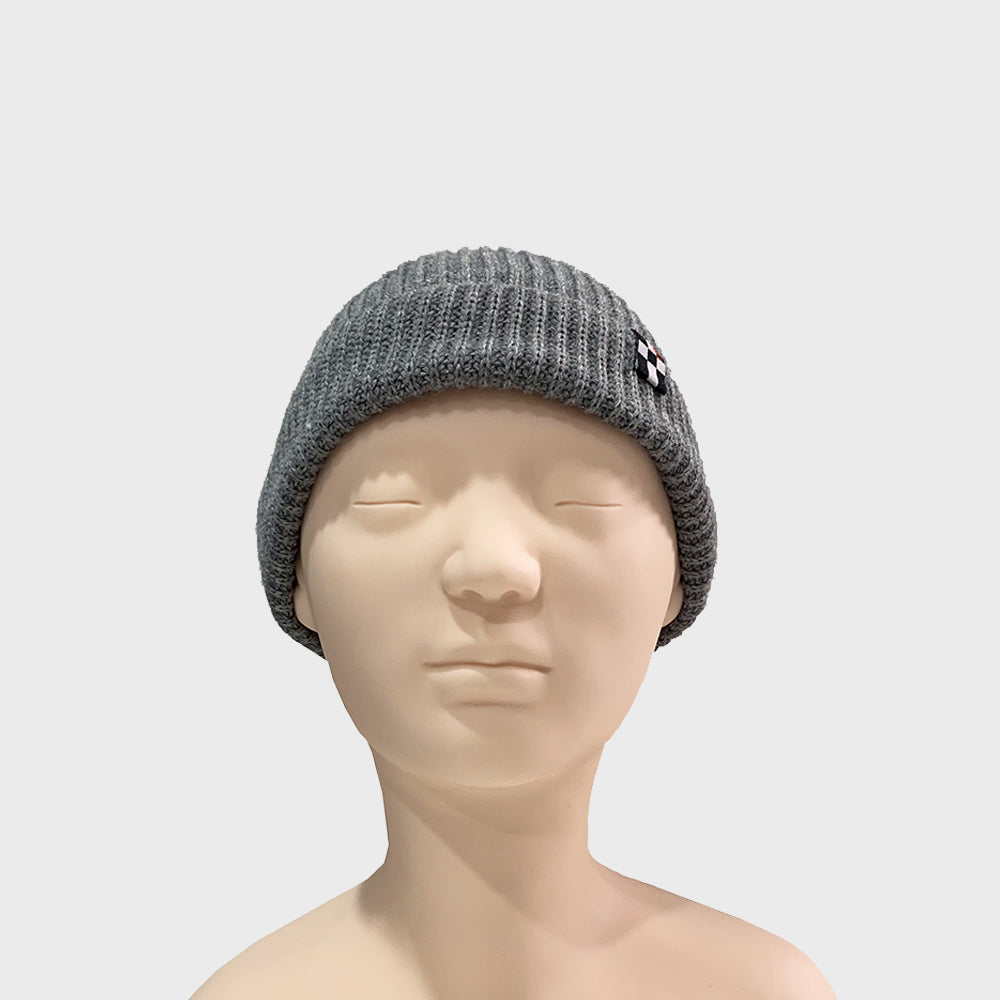 STANDARD WATCH CAP GRAY