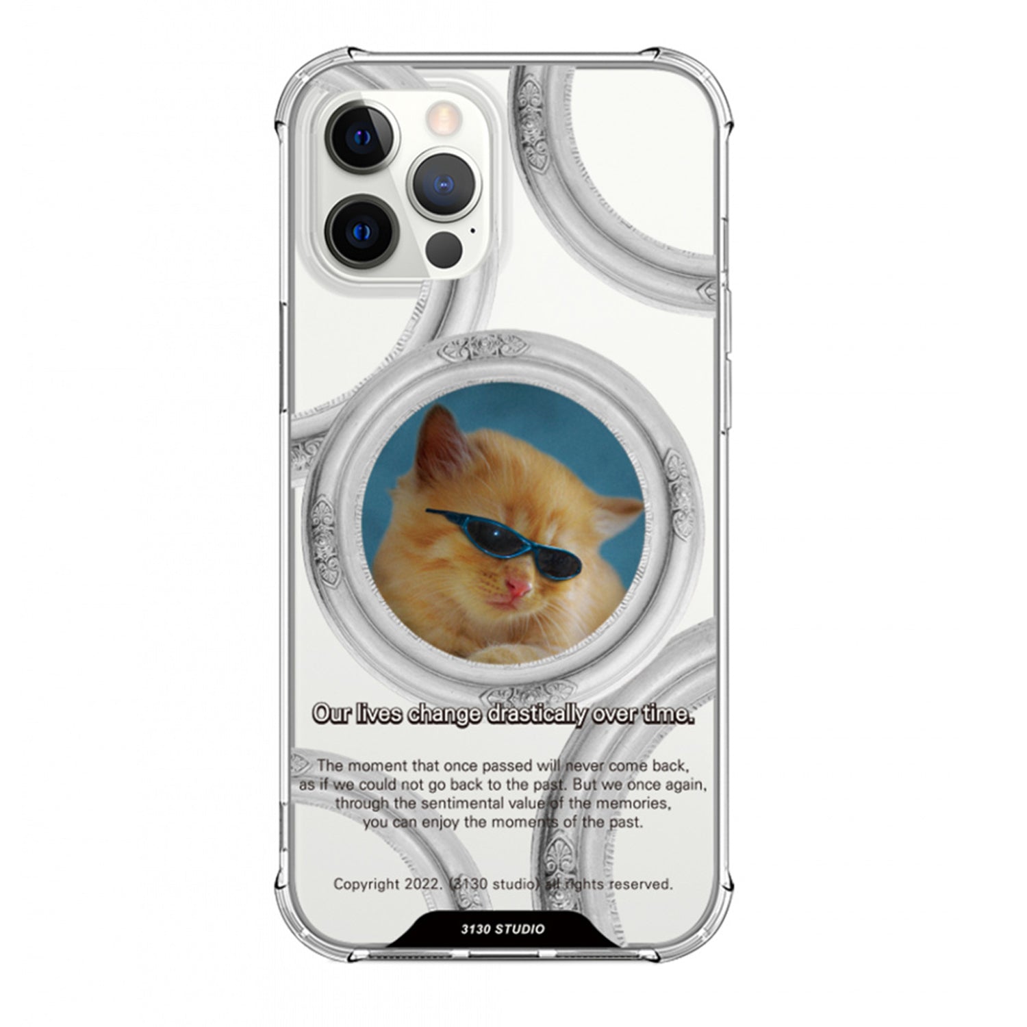 silver frame blue cat clear case