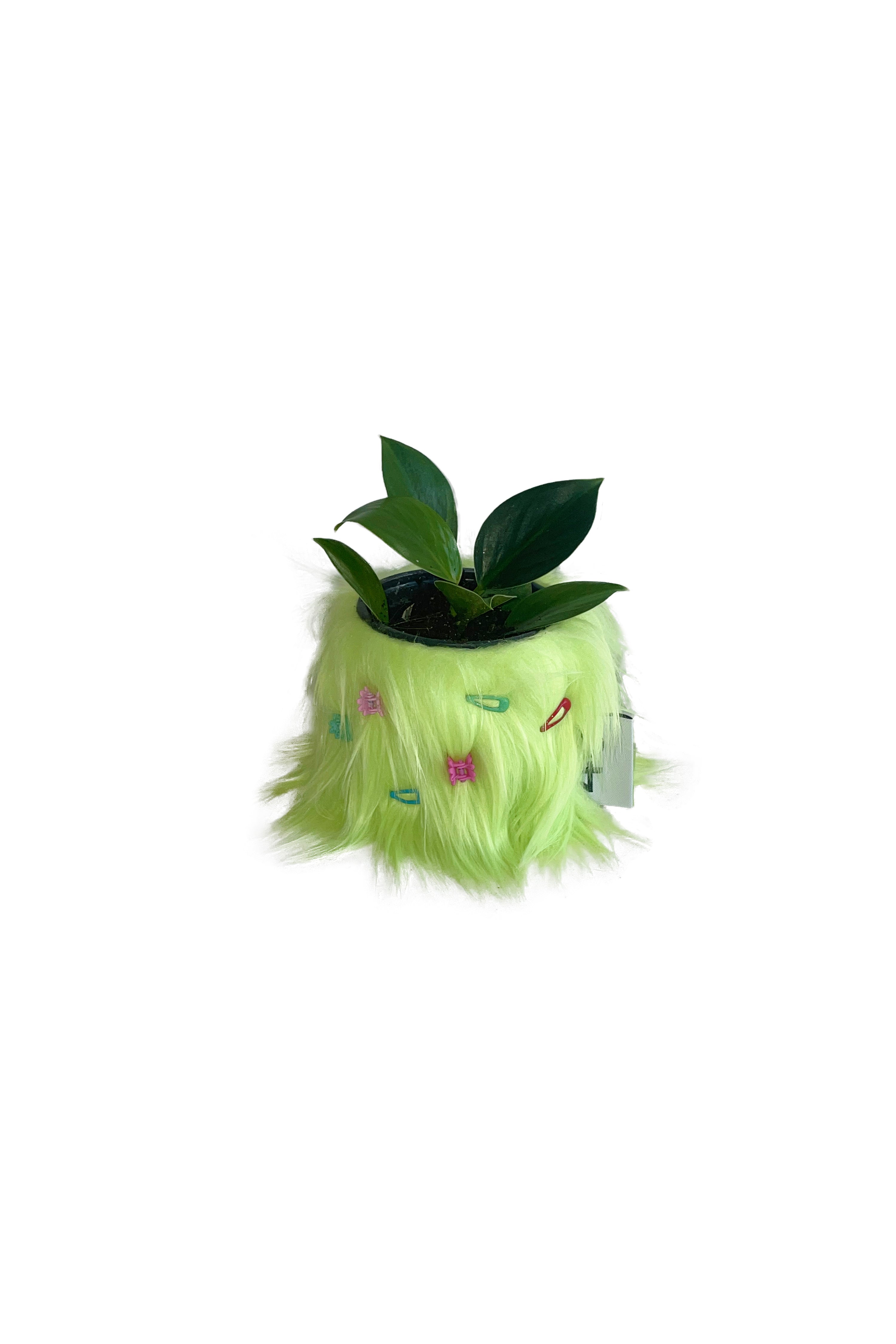 FURRY POT COVER (GREEN) + FURRY PIN SET