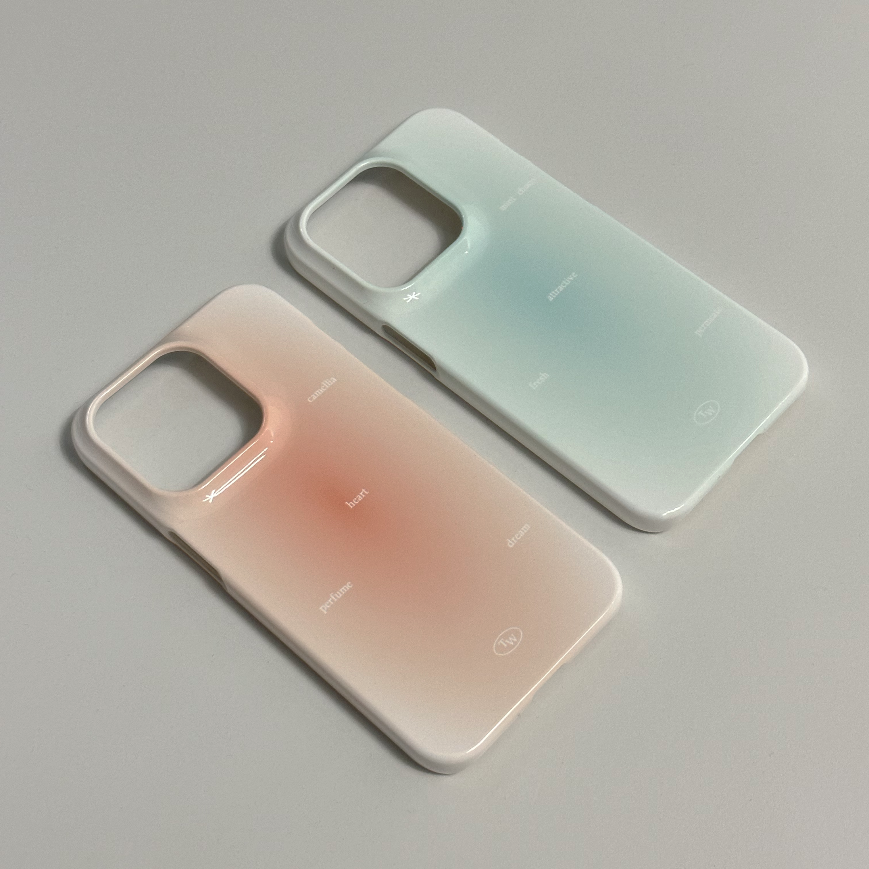 cheek hard case-mint choco