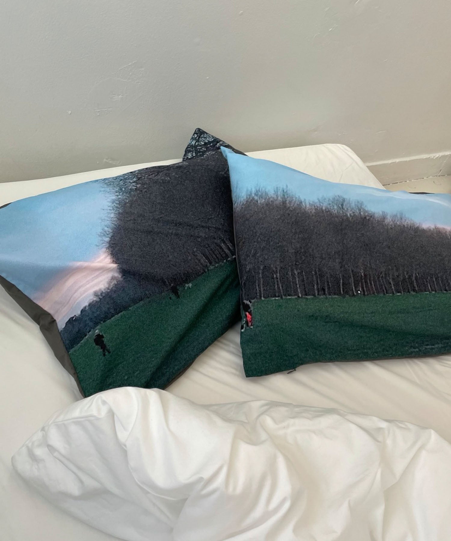 pillow cover - park